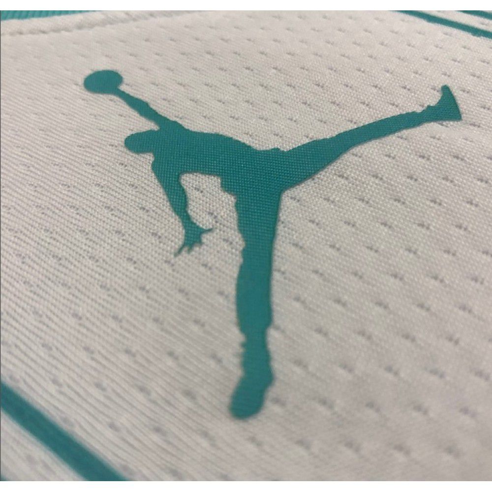 Men's Charlotte Hornets Hayward #20 Jordan Brand White 20/21 Swingman Jersey - Association Edition-Pro Kit Vault | Brand New 26/27 Sports Jerseys